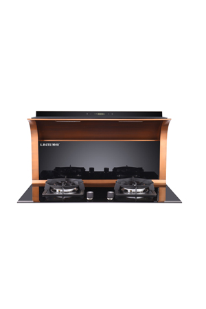 廣東領帝電氣科技有限公司,專業(yè)生產(chǎn)領帝吸油煙機,領帝廚電